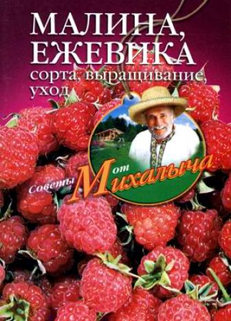 Малина ежевика. Сорта выращивание уход